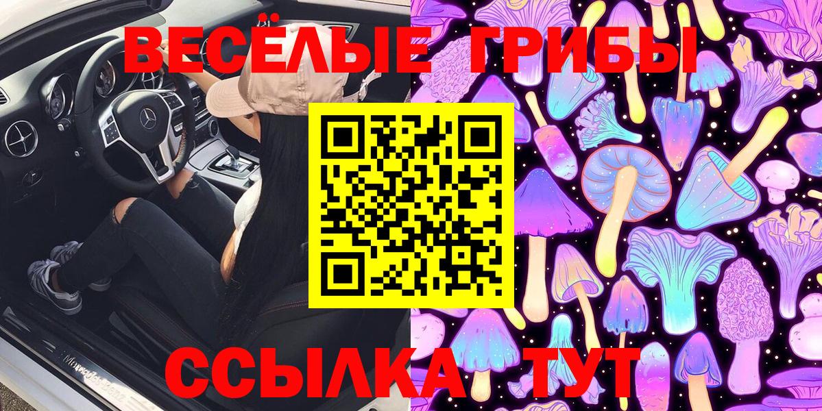 Галлюциногенные грибы Cubensis Луховицы